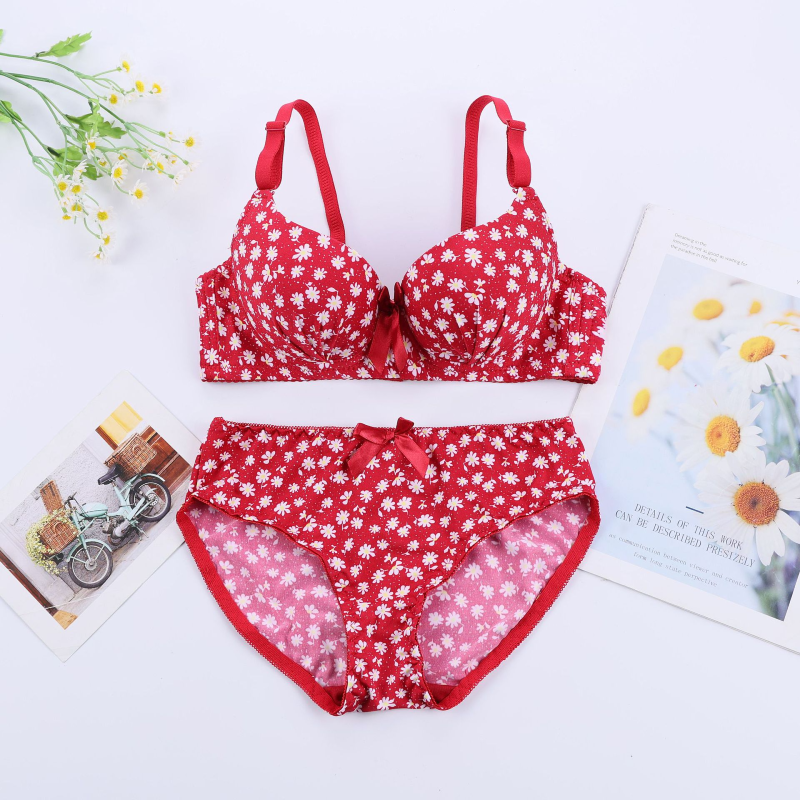 Seamless Whisper Soft Bra Set