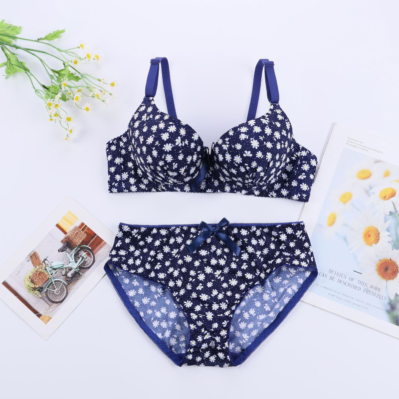 Seamless Whisper Soft Bra Set