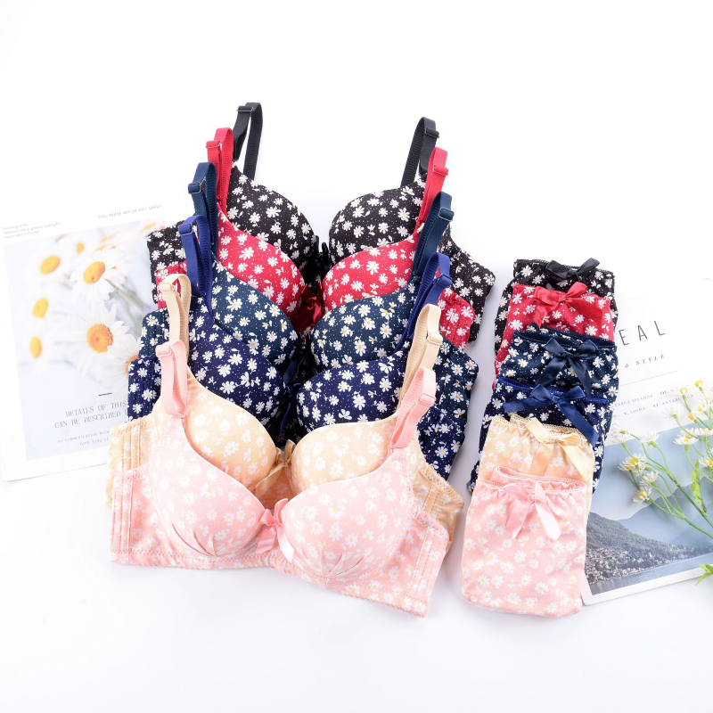 Seamless Whisper Soft Bra Set