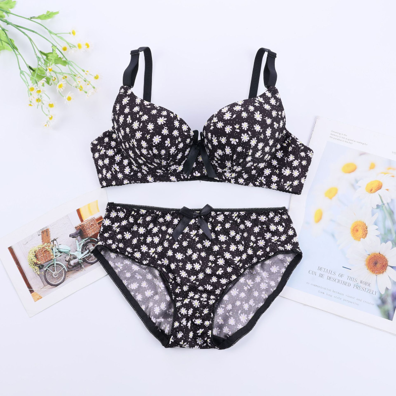 Seamless Whisper Soft Bra Set