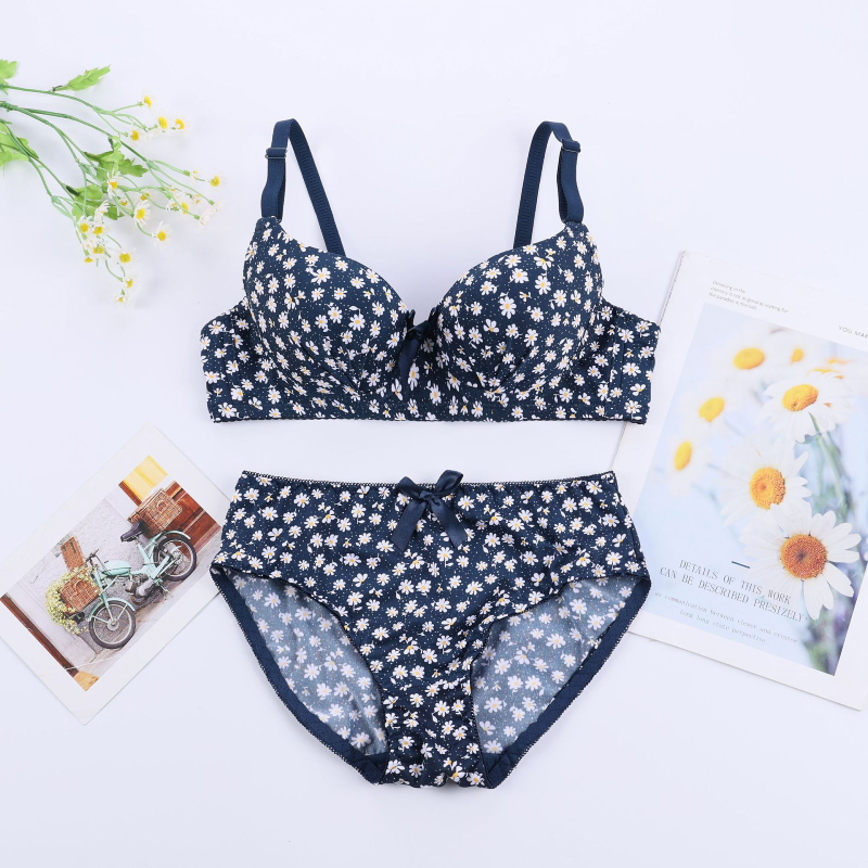 Seamless Whisper Soft Bra Set