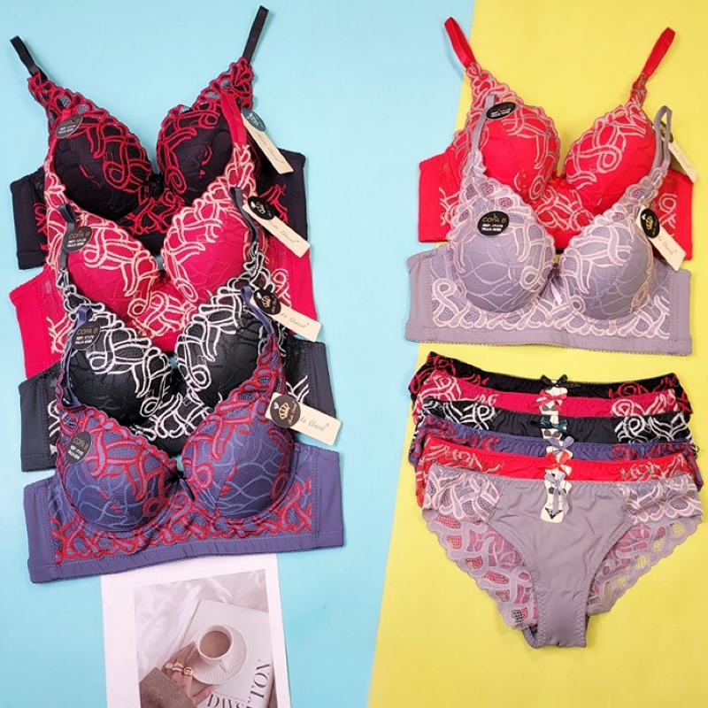 Graceful Comfortable Elegant Bra Set