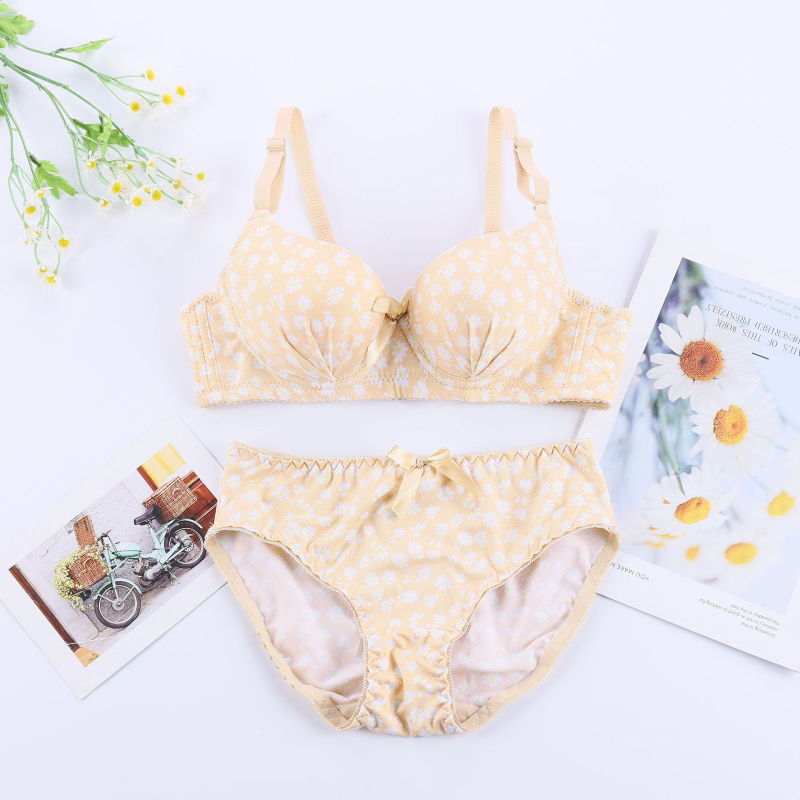 Seamless Whisper Soft Bra Set