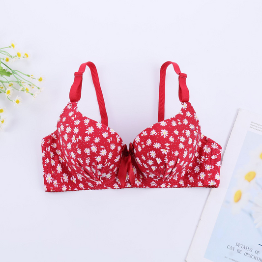 Discover The Beauty Elegant Padded Bra