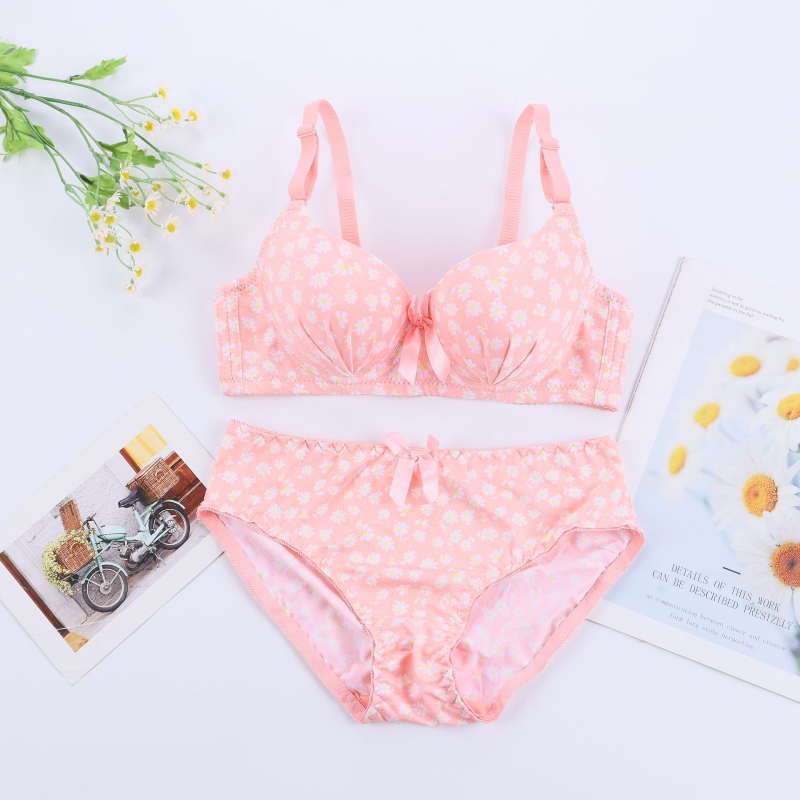 Seamless Whisper Soft Bra Set