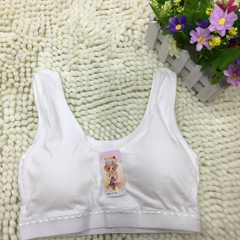 Luxurious Comfortable Thin Padded Sports Bra