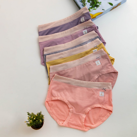 Pack Of 2 Elegant Imported Cotton Panties